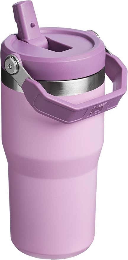 Stanley IceFlow Flip Straw Tumbler with Handle 20 oz | Twist On Lid and Flip Up Straw | Leak Resistant Water Bottle | Insulated Stainless Steel |BPA-Free | Lilac - Bloomnest