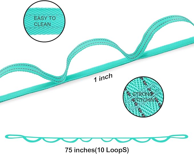 Premium Durable Stretch Straps with Loops, Stretching Strap for Physical Therapy, Multi-Loop Yoga Strap Fitness Exercise Strap for Yoga, Pilates, Dance, Flexibility&Exercise - Bloomnest