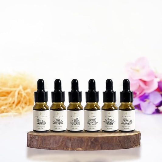 Essential Oils Top 6 Premium Hotel Blend for Oil Diffusers for Home Hotel Collection Diffuser Oil for Water Based Essential Oil Diffuser,Scent Diffuser,Aromatherapy diffuser, Home Essentials, Gift Set - Bloomnest