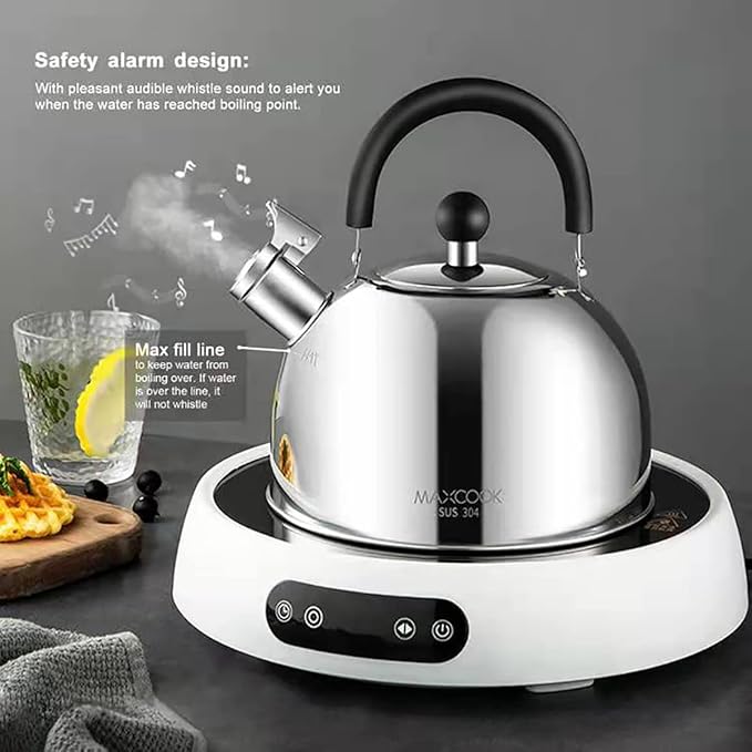 304 Stainless Steel Whistling Tea Kettle 2.1 Quart/2L, Suitable to Boiling Water & Tea on Induction Stove, Gas Stove Top - Bloomnest