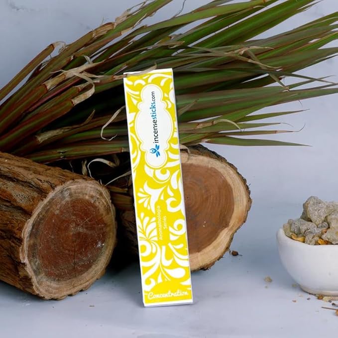 Concentration Incense 8" 12 Sticks - Bloomnest