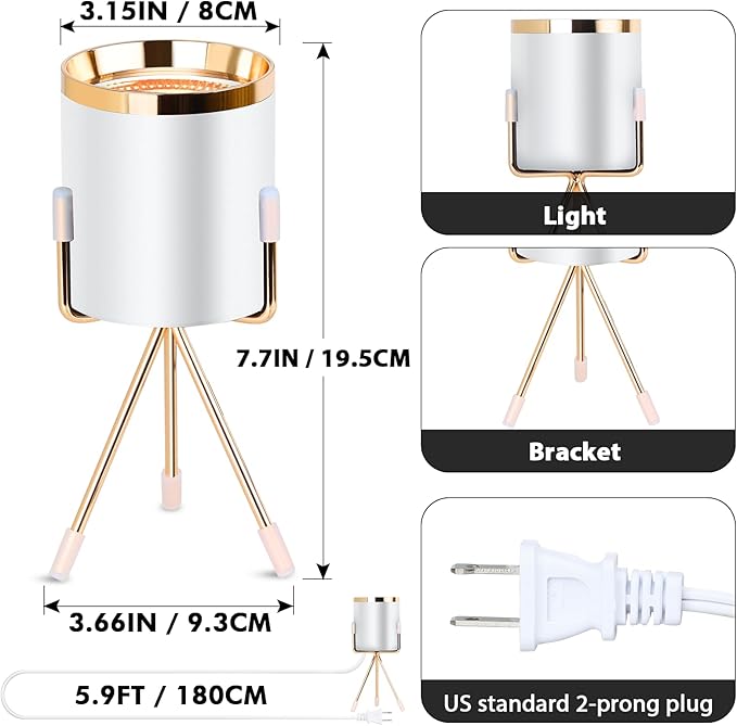 Spot Lights Indoor Floor Lamp, 6W Uplighting Indoor with Remote, Dimmable & Timer & 3 Color Temperatures, 2700K to 6500K Floor Can Lights for Plants Pictures Corner Ambient Lighting, 2 Pack - Bloomnest