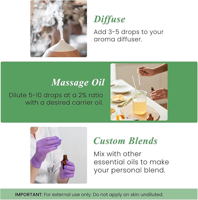 Handcraft Blends Tea Tree Essential Oil – Huge 4 Fl Oz – 100% Pure and Natural – Premium Grade Essential Oil for Diffuser and Aromatherapy, Skin, Massage, Candle and Soap Making Fragrance - Bloomnest