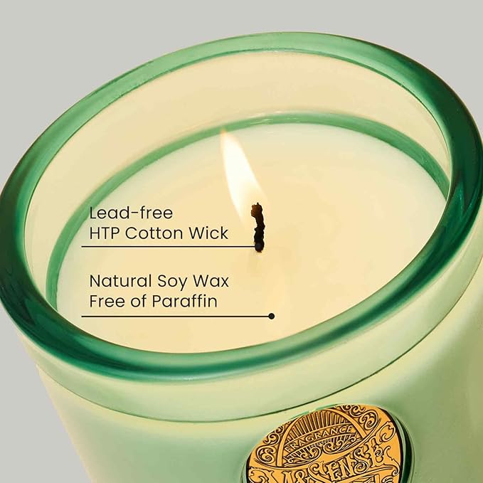 M&SENSE Natural Aromatherapy Soy Candle | Eucalyptus Mint & Blue | 9.2 oz, 50H Burn Time | Luxury Scented Candle for Relaxation, Gifting, Home Décor | Ideal for Bedroom, Office, Party Ambiance - Bloomnest