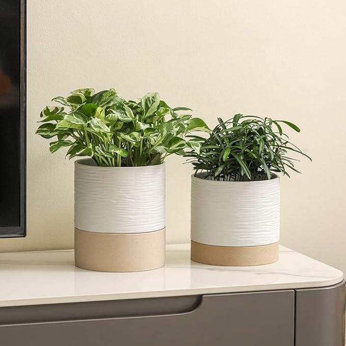 Nihow Self Watering Plant Pot: 6 Inch Ceramic Planter with Drainage Hole & Water Storage Plus for Indoor & Outdoor Plants - Cylinder Round Flower Pot for Succulent/Herbs/Violets - White & Brown - Bloomnest