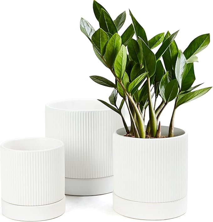 LaDoVita 3 Pack Ceramic Plant Pots 6/5/4 inch, Flowerpot for Indoor Plants with Drainage Holes and Tray, Outdoor Garden Planters, Modern Decorative for Home, White Vertical Stripes - Bloomnest