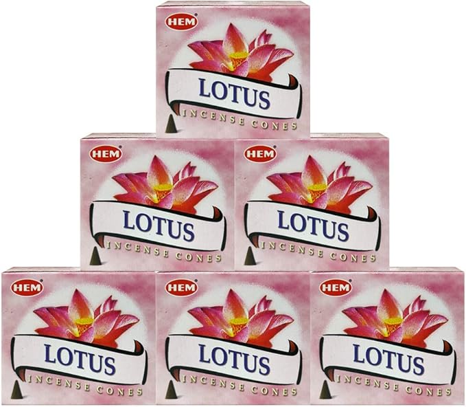 TRUMIRI Incense Cone Holder Bundle with Hem Lotus Incense Cones - Pack of 6 (Approx 60 Cones) TRUMIRI