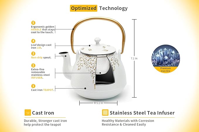 TOPTIER Japanese Cast Iron Tea Kettle with Infuser,Teapot Stovetop Safe, Leaf Design , Coated with Enameled Interior for 32 Ounce (950 ml), White - Bloomnest