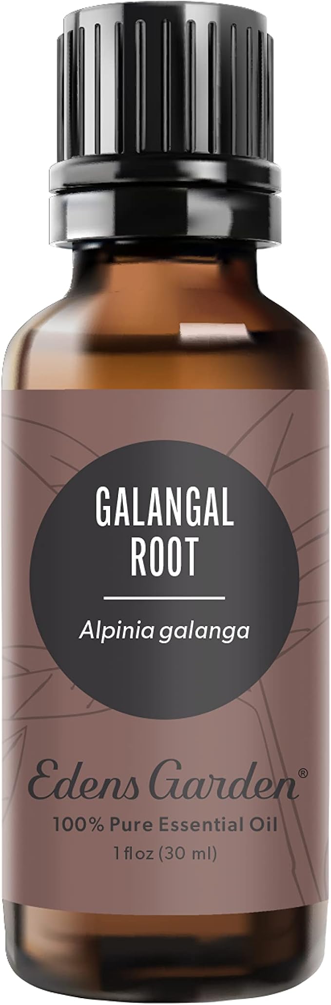 Edens Garden Galangal Root Essential Oil- 100% Pure Premium Grade, Undiluted, Natural, Therapeutic, Aromatherapy, The Best for Diffuser, Candle, Laundry, Humidifiers 30 ml (1 fl oz) EdensGarden
