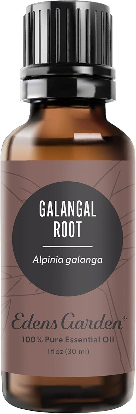 Edens Garden Galangal Root Essential Oil- 100% Pure Premium Grade, Undiluted, Natural, Therapeutic, Aromatherapy, The Best for Diffuser, Candle, Laundry, Humidifiers 30 ml (1 fl oz) EdensGarden