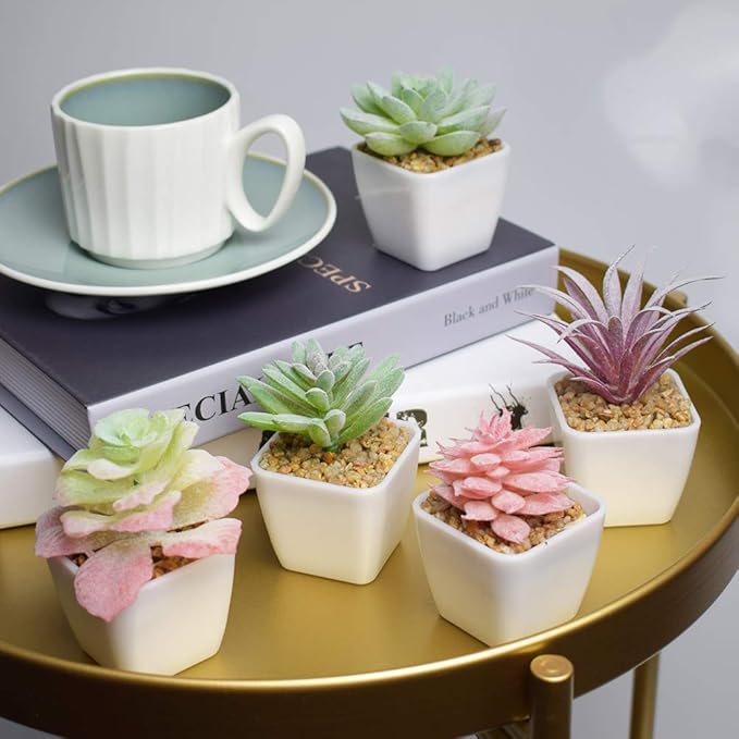 Tiita Artificial Faux Succulents in Pots Fake Plants Plastic Arrangement Planter Small Mini Tiny Decoration for Home Office Desk Window Sill Bathroom Bedroom Outdoor Indoor 12 Set - Bloomnest
