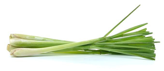 US Organic 100% Pure Lemongrass Essential Oil, USDA Certified Organic, Extracted by Steam Distillation Method, for Hair, Nail Polish Remover, Bees Attraction, and More. 30 ml - Bloomnest