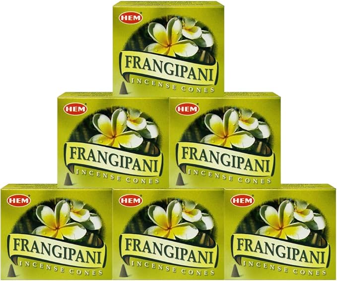 TRUMIRI Incense Cone Holder Bundle with Hem Firangipani Incense Cones - Pack of 6 (Approx 60 Cones)