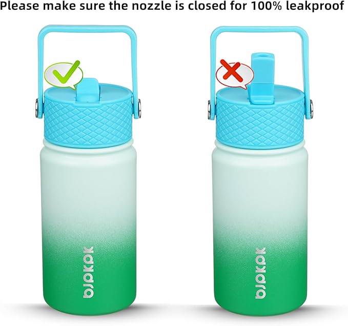 BJPKPK Insulated Water Bottle with Straw Lid, 15 oz Stainless Steel Metal Water Bottles, Reusable Leak Proof BPA Free Thermo, Flask, Cups - Meadow - Bloomnest