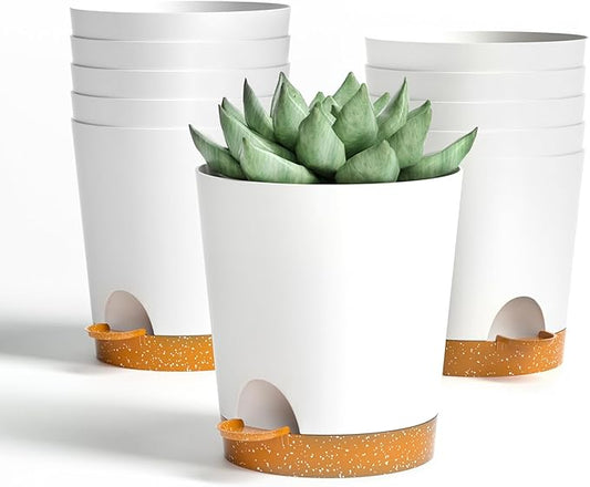 4 inch Small Plant Pots for Outdoor Indoor Plants, 10 Pack Planters with Drainage Holes and Tray, Small Self Watering Pots for Succulent,Cactus, Aloe and Other Plants. (White) - Bloomnest