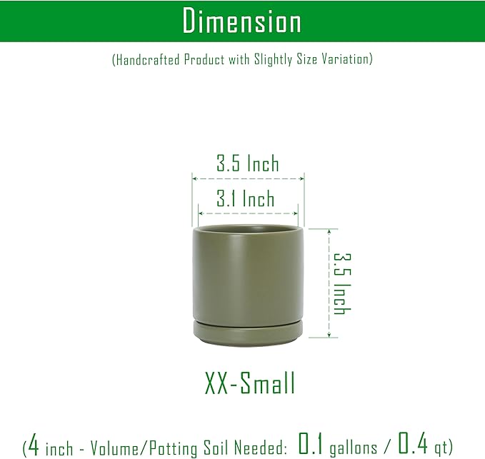 D'vine Dev Set of 4 Small Ceramic Plant Pots, 3.5 Inch Succulent Planter Pot for Plants with Drainage Hole and Saucer, Olive, 94-X-A-0 - Bloomnest