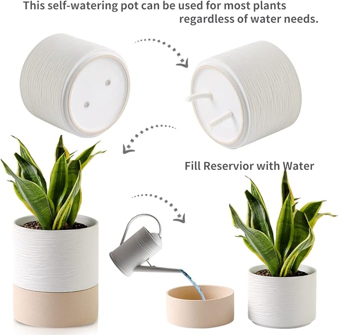 Nihow Self Watering Plant Pot: 6 Inch Ceramic Planter with Drainage Hole & Water Storage Plus for Indoor & Outdoor Plants - Cylinder Round Flower Pot for Succulent/Herbs/Violets - White & Brown - Bloomnest
