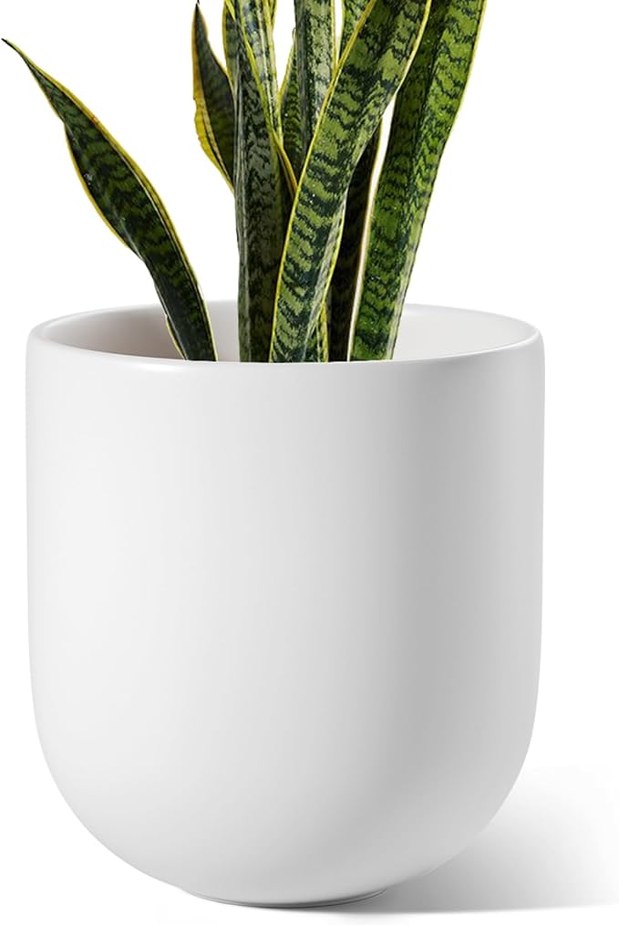 LE TAUCI 10 Inch Plant Pot, Ceramic Pots for Plants with Drainage Hole and Rubber Plug, Plant Pots Indoor for Olive Tree, Cylinder Planter Pot for Home Patio Office, White - Bloomnest