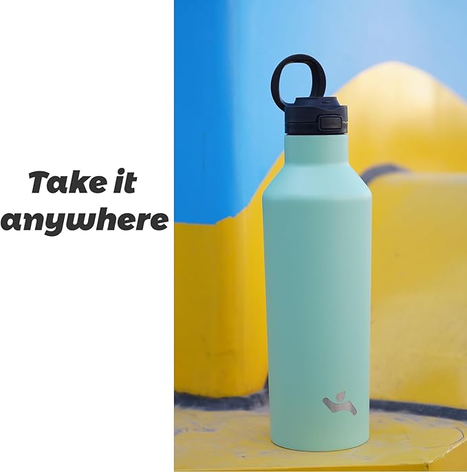 Insulated Water Bottle with Straw,17 OZ Double Wall Vacuum Stainless Steel Water Flask with 2 Lids,Black - Bloomnest