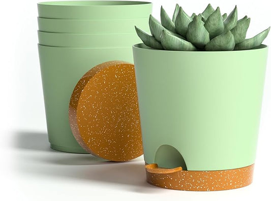 4 inch Small Plant Pots for Outdoor Indoor Plants, 5 Pack Planters with Drainage Holes and Tray, Small Self Watering Pots for Succulent,Cactus, Aloe and Other Plants (Green) - Bloomnest