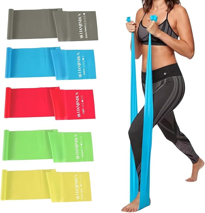 5 Pcs Professional Resistance Bands. Latex-Free, Elastic Band, Work Out Bands, Stretch Bands for Working Out Women or Men, Exercise Bands Set for Physical Therapy, Yoga, Pilates - Bloomnest