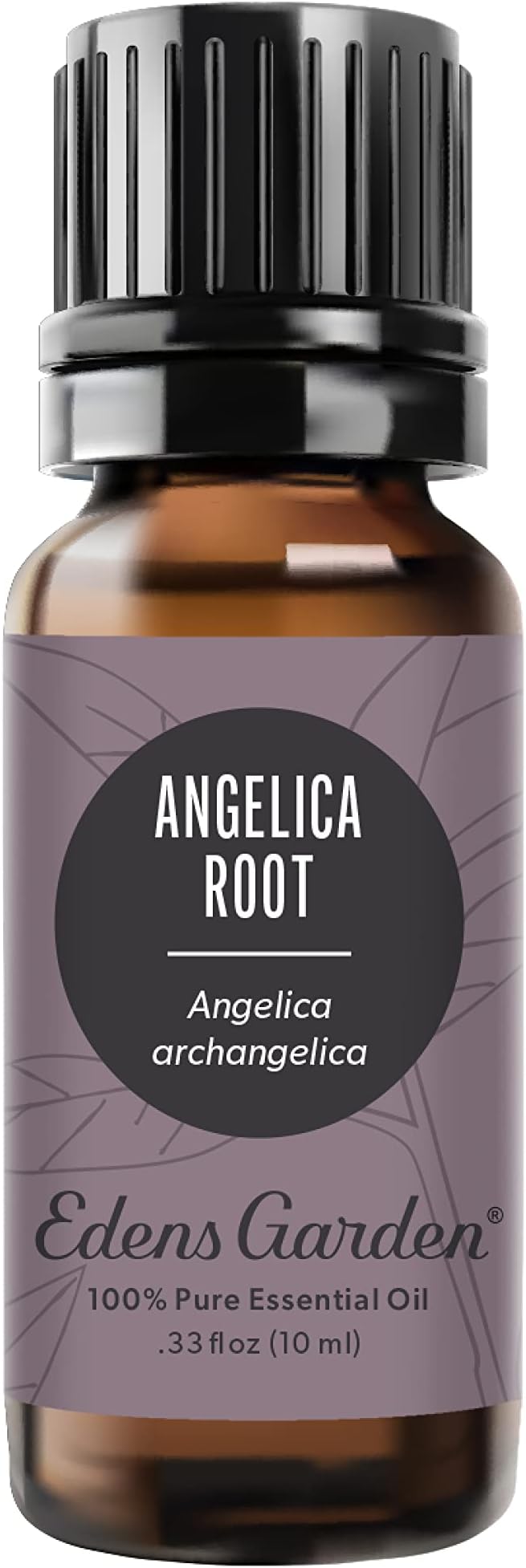 Edens Garden Angelica Root Essential Oil- 100% Pure Premium Grade, Undiluted, Natural, Therapeutic, Aromatherapy, The Best for Diffuser, Candle, Laundry, Kid Safe 10 ml (.33 fl oz) - Bloomnest