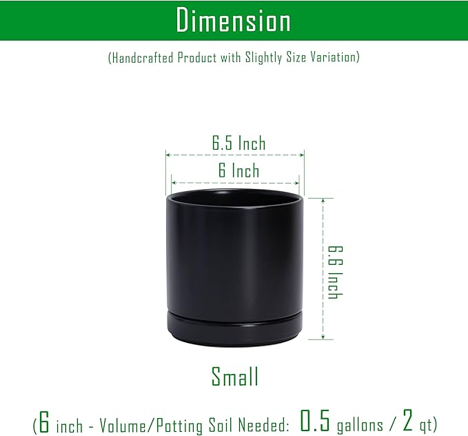 D'vine Dev Set of 2 Plants Pots, 6.5 Inch Ceramic Planter Pot for Plants with Drainage Hole and Saucer, Black, 94-V-C-2 - Bloomnest