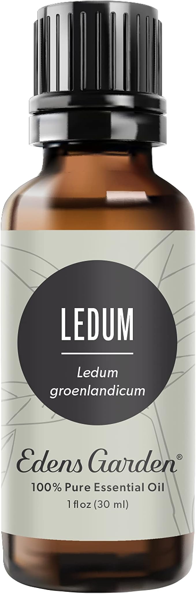 Edens Garden Ledum Essential Oil- 100% Pure Premium Grade, Undiluted, Natural, Therapeutic, Aromatherapy, The Best for Diffuser, Skin, Hair, Humidifiers 30 ml (1 fl oz) - Bloomnest