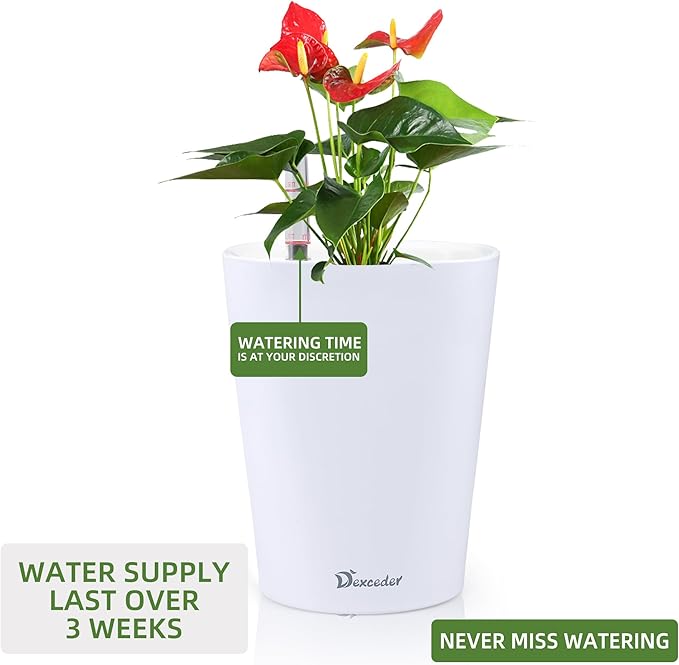 Dexceder 6x7 Self Watering Planter Indoor Outdoor, High Gloss Table Flower Plant Pot with Water Level Indicator (White) - Bloomnest