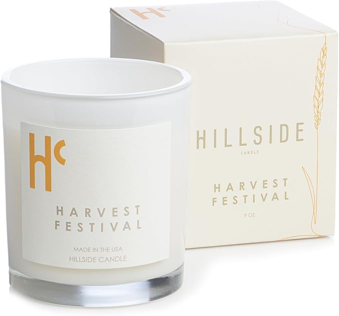 Long-Lasting Harvest Festival Fragrance - Single Wick Scented Candles - Up to 60 Hour Burn Time, Cruelty-Free Soy Candle Wax Blend - Pumpkin Fragrance, Notes of Amber & Orange (9 oz) - Bloomnest