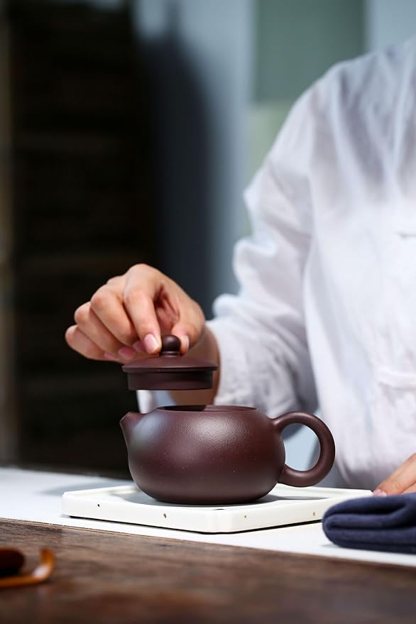 Xishi Teapot 9oz Chinese Yixing Zisha Clay Pot Snap-lid Ceramics Purple Sand Mud Kungfu Tea Set Kettle 14 Hole Filter (purple 270ml) - Bloomnest