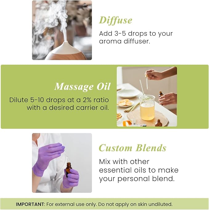 Handcraft Blends Lemongrass Essential Oil – Huge 4 Fl Oz – 100% Pure and Natural – Premium Grade Essential Oil for Diffuser and Aromatherapy, Skin, Massage, Candle and Soap Making Fragrance - Bloomnest