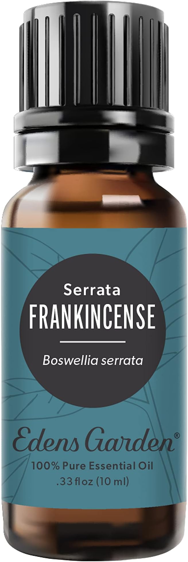Edens Garden Frankincense- Serrata Essential Oil- 100% Pure Premium Grade, Undiluted, Natural, Therapeutic, Aromatherapy, The Best for Diffuser, Skin, Face, Hair 10 ml (.33 fl oz) - Bloomnest