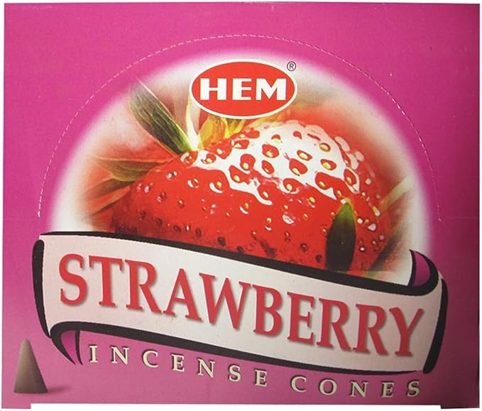 Strawberry Incense Cones and Cone Incense Burner Bundle Insence Insense Hem Incense TRUMIRI