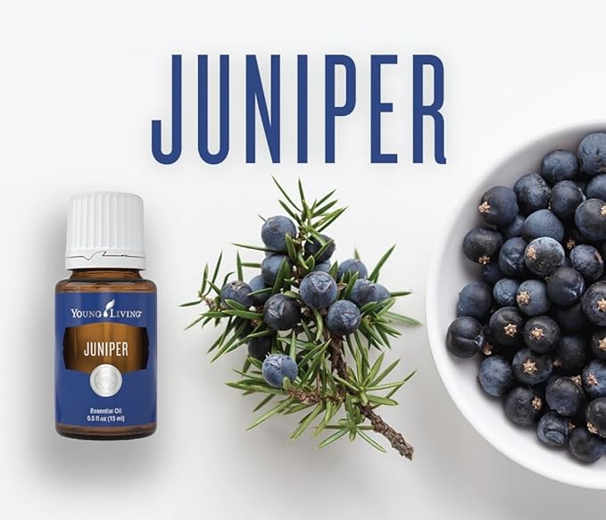 Young Living Juniper Essential Oil | 15 ml | Supports a Fresh, Grounding Aroma | Premium for Diffuser, Skincare & Massage | Relaxation & Focus - Bloomnest