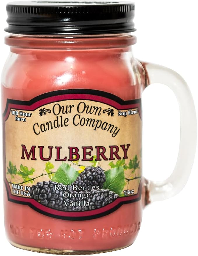 Our Own Candle Company, Mulberry Scented Mason Jar Candle, 100 Hour Burn Time, Made in The USA - 13 Ounces - Bloomnest