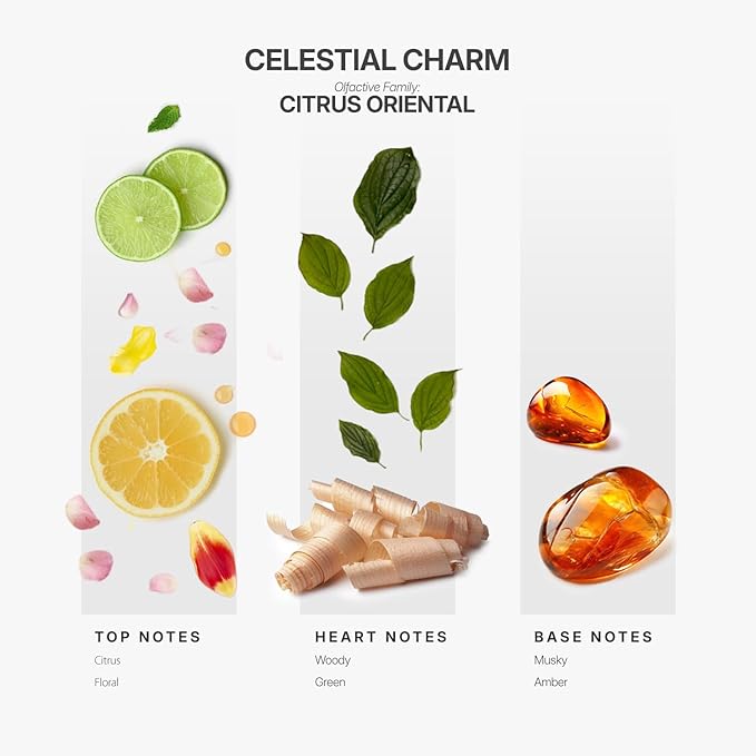 AromaPlan Hotel Scents Celestial Charm 5 Fl Oz (148ml), Home Luxury Aroma & Hotel Fragrance Diffuser Oil- Hotel Diffuser Oil for Aromatherapy- USA Made, Bigger Bottle, Bolder Aroma & Longer Lasting - Bloomnest