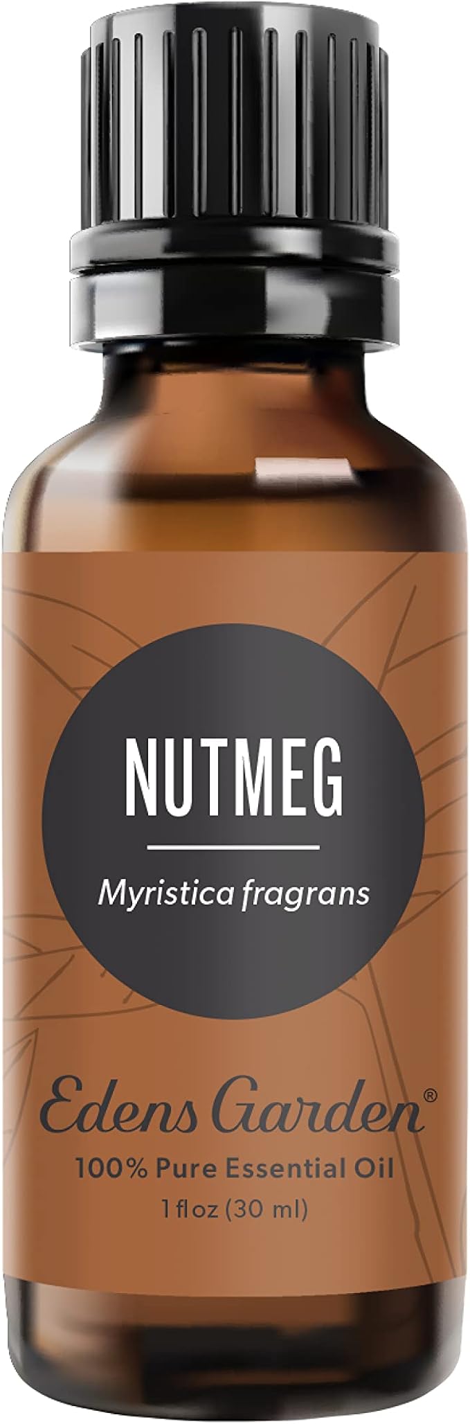 Edens Garden Nutmeg Essential Oil- 100% Pure Premium Grade, Undiluted, Natural, Therapeutic, Aromatherapy, The Best for Diffuser, Candle, Laundry, Humidifiers 30 ml (1 fl oz) - Bloomnest