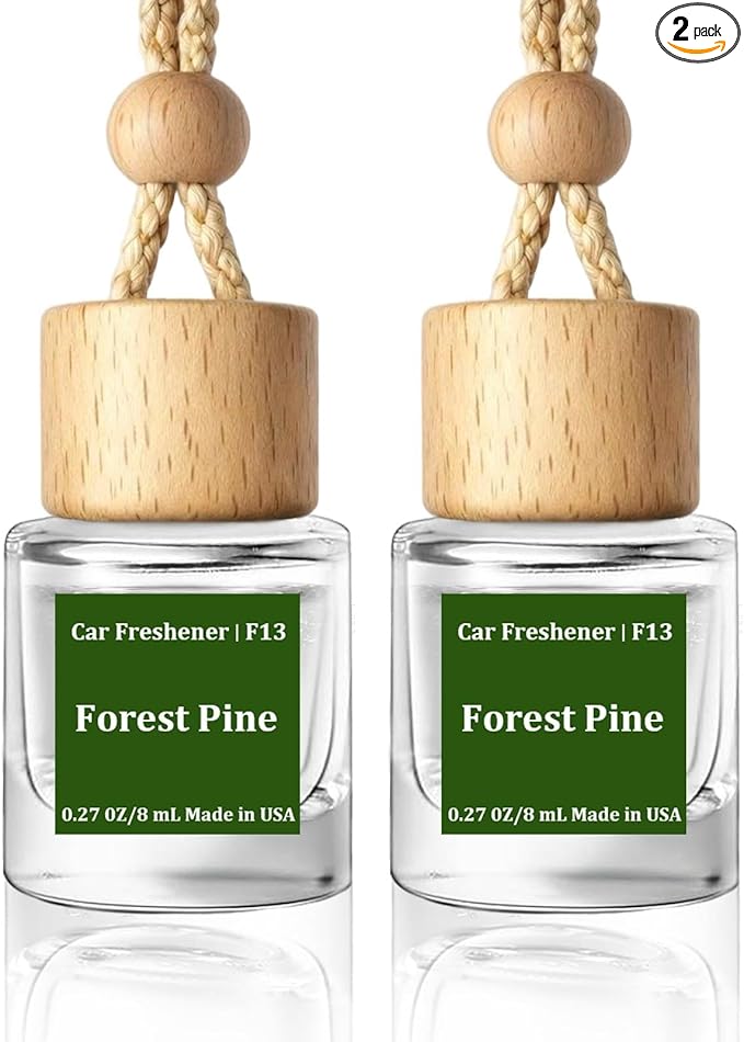 HoogaLife Car Air Freshener Diffuser 2 Pack Hanging Air Freshener Diffuser - Forest Pine Fragrance Oil Air D iffuser for Car, 45+ Days Long Lasting Fragrance Made in USA (F13) - Bloomnest