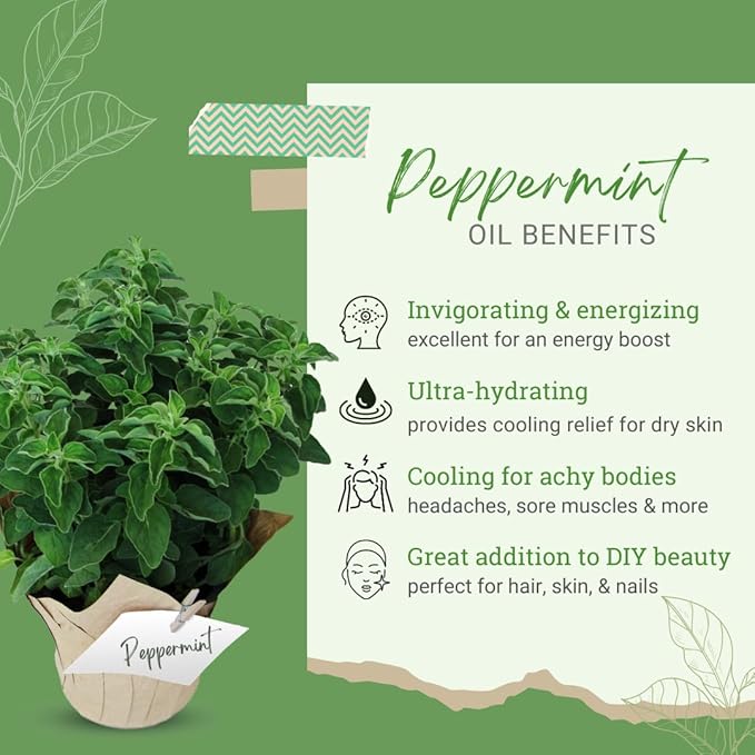 GreenHealth Japanese Peppermint Essential Oil – 15 ml – 100% Pure & Uncut – Strong Menthol Aroma – Glass Bottle for Diffusers, Cleaning, DIY Use – Bottled in USA