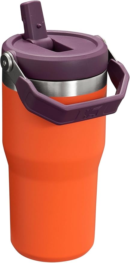 Stanley IceFlow Flip Straw Tumbler with Handle 20 oz | Twist On Lid and Flip Up Straw | Leak Resistant Water Bottle | Insulated Stainless Steel |BPA-Free | Tigerlily Plum - Bloomnest
