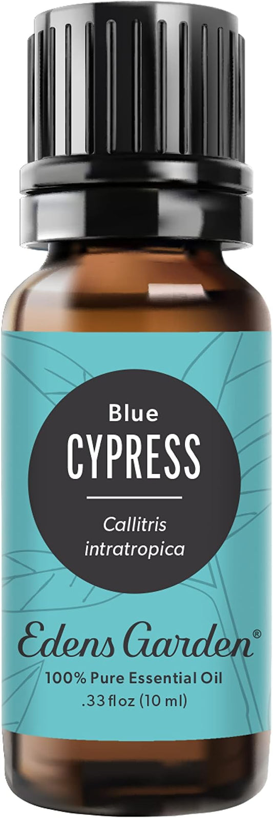 Edens Garden Cypress- Blue Essential Oil- 100% Pure Premium Grade, Undiluted, Natural, Therapeutic, Aromatherapy, The Best for Diffuser, Skin, Candle, Kid Safe 10 ml (.33 fl oz) - Bloomnest