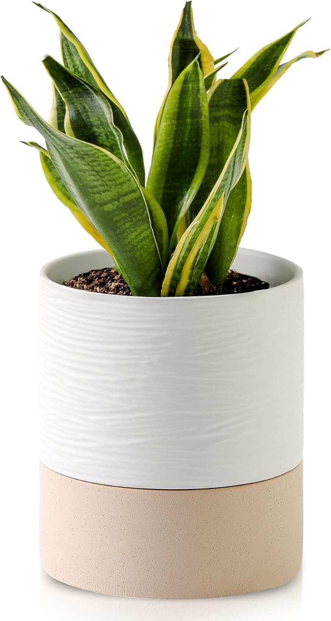 Nihow Self Watering Plant Pot: 6 Inch Ceramic Planter with Drainage Hole & Water Storage Plus for Indoor & Outdoor Plants - Cylinder Round Flower Pot for Succulent/Herbs/Violets - White & Brown - Bloomnest