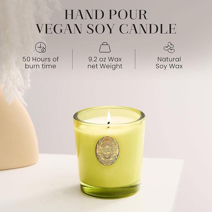 M&SENSE Natural Soy Candle | Seattle Rainforest & Matcha Green | 9.2 oz, 50H Burn Time | Luxury Scented Candle for Relaxation, Gifting, Home Décor | Ideal for Bedroom, Office, Party Ambiance - Bloomnest