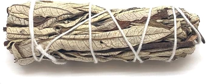 Smudge Kit Spiritual Set - White Sage, Cedar, 7 Chakra Sage, Yerba Santa, Palo Santo, Sandalwood T-Lite Candle - for Purifying, Cleansing, Meditating, Blessing, Manifesting, Love (Smudge Kit) SoloTherapy
