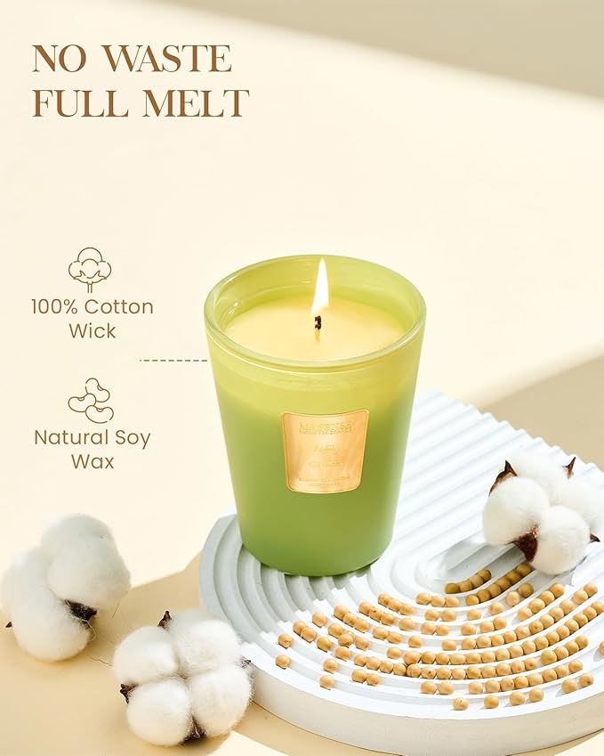 M&SENSE Basil Ginger Scented Natural Soy Wax Candle, 14.1oz 60 Hours Long Lasting Slow Burning Candles for Home Decor, Aromatherapy Candle for Stress Relief - Bloomnest
