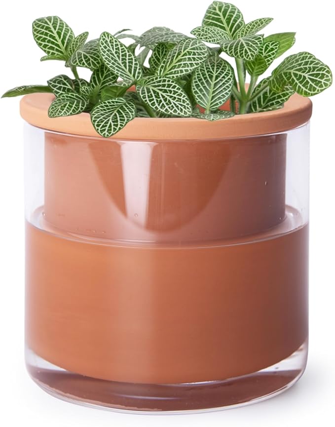 Phoenix Vine 4 Inch Self Watering Plants Pot, Design Terracotta Pot for Plants, Indoor Cylinder Terra Cotta Planter with Glass Vase, Set of 1, 51-A-E-1 - Bloomnest