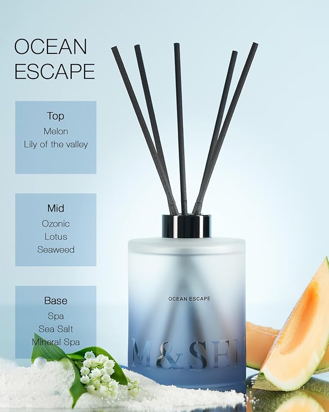 M&SENSE Ocean Escape Reed Diffuser Set - 16.9 fl oz Sea Salt Scent Diffuser with Sticks, Large Long-Lasting Fragrance Diffuser, Aromatherapy Diffuser Gift for Summer, Spa & Home Decor MSENSE