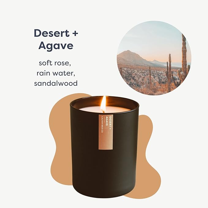 Calyan Wax Co. Desert & Agave Scented Candle - 75 Hour Burn - Luxury Non Toxic Soy Wax Candles - Long Lasting Black Tumbler Jar Candle for Home - 10.2oz - Bloomnest