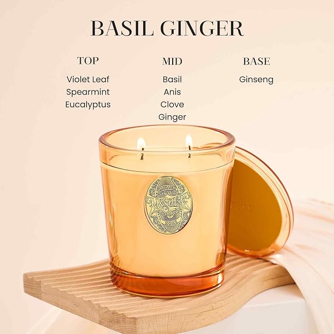 M&SENSE Large Two-Wick Soy Candle | Basil Ginger & Orange | 19.8 oz, 120H Burn Time | Luxury Scented Candle for Relaxation, Gifting, Home Décor | Ideal for Bedroom, Office, Party Ambiance - Bloomnest